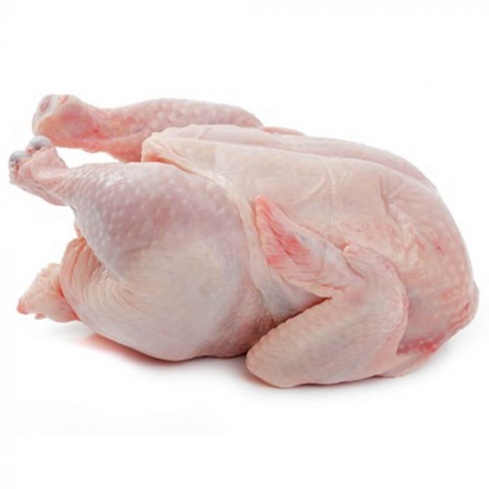 Baby Chicken 12Ps - Amar