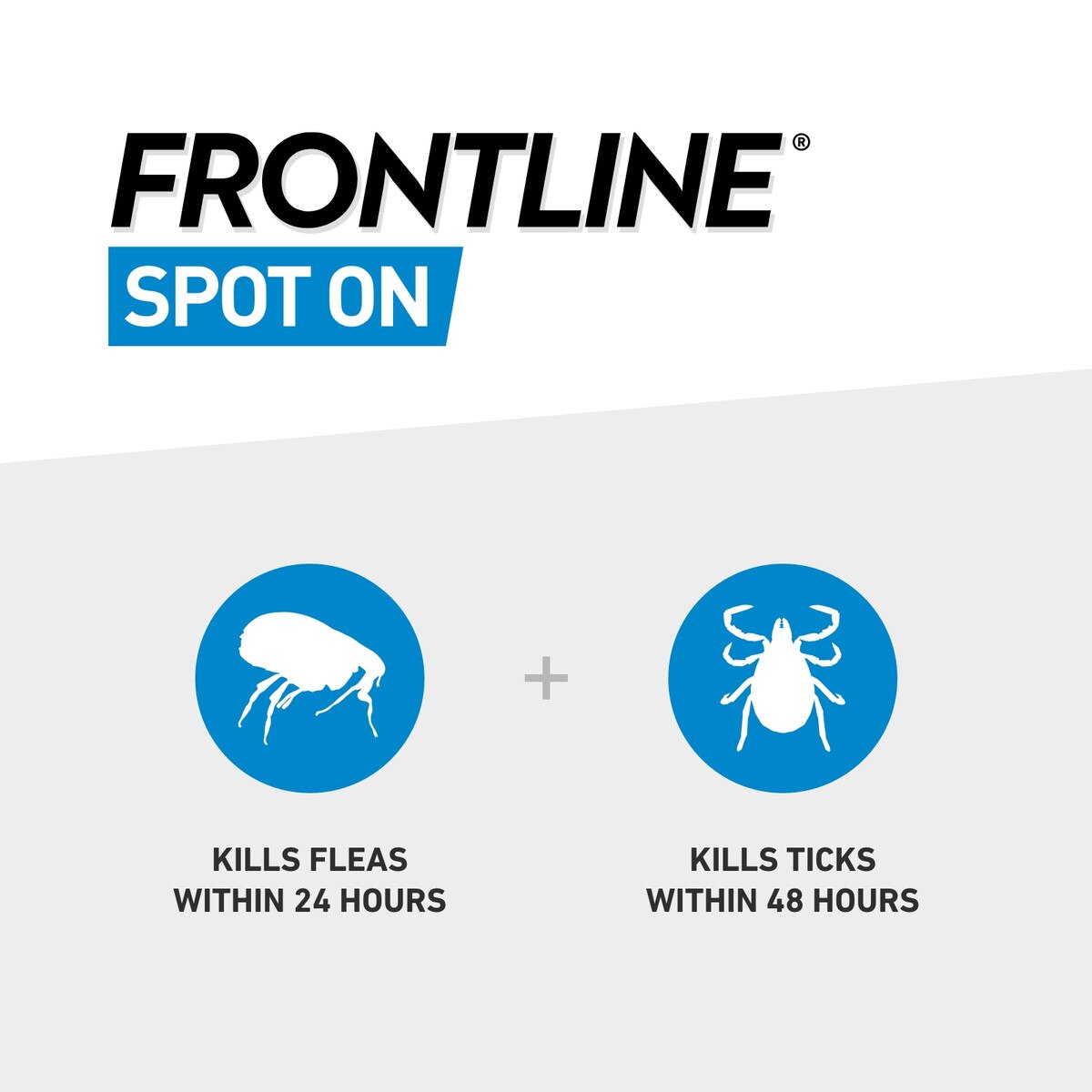 FRONTLINE Spot On Small Dogs 2-10kg Flea & Tick Treatment 1 Pipette