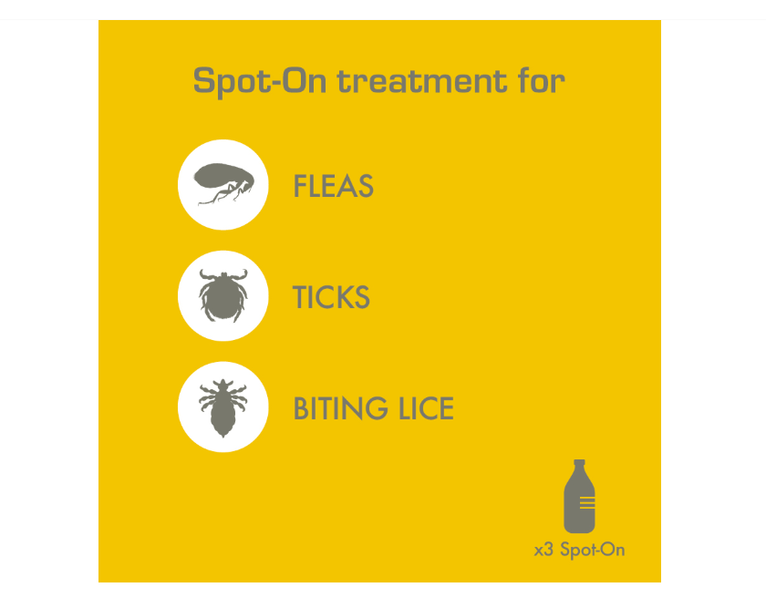 On Defence Flea & Tick Spot On Medium Dogs 10-20kg 3 Pack